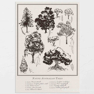 Sepia toned Vintage Australian Trees chart