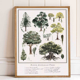 Watercolour Australian Trees chart