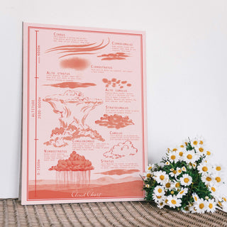Illustrated vintage style cloud chart - Pink & Papaya Red