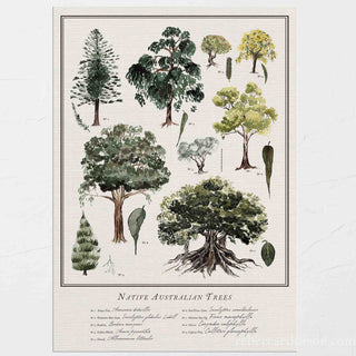 Watercolour Australian Trees chart