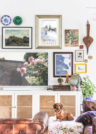 Dachshund sitting in front of an eclectic gallery wall full of vintage finds and travel prints