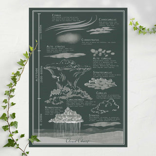 Illustrated vintage style cloud chart - Hunter Green
