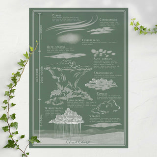 Illustrated vintage style cloud chart - Seedling green