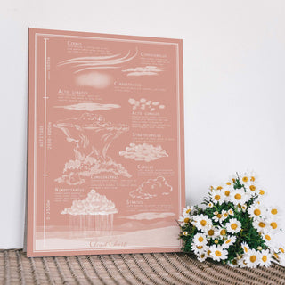 Illustrated vintage style cloud chart - Terracotta