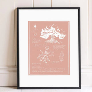 Moreton Bay Fig Tree Drawing Print