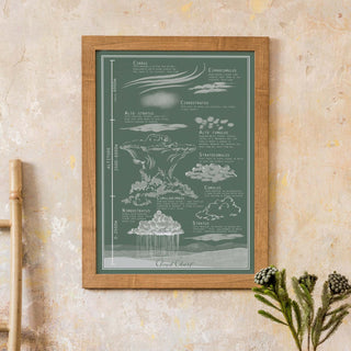 Illustrated vintage style cloud chart - Seedling green