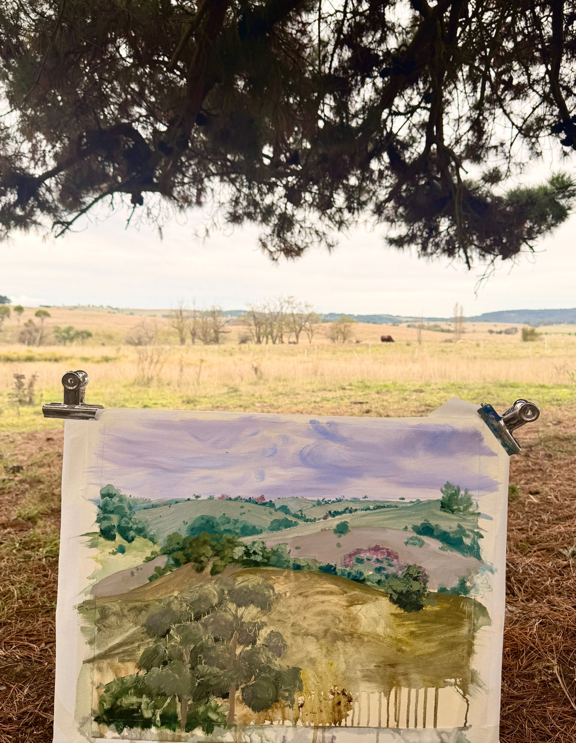 A plein air painting set up with a landscape painting in oils on canvas, held up outdoors with binder clips against a real field scene under tree branches.