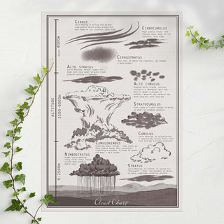 Illustrated vintage style cloud chart - Sepia